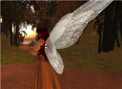 Sunset in Artropolis