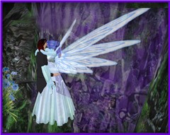 Blue Butterfly Love