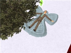 The winter...