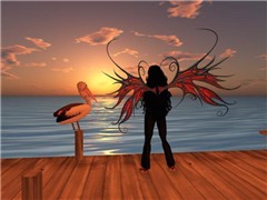 Beautiful Icarus Sunset