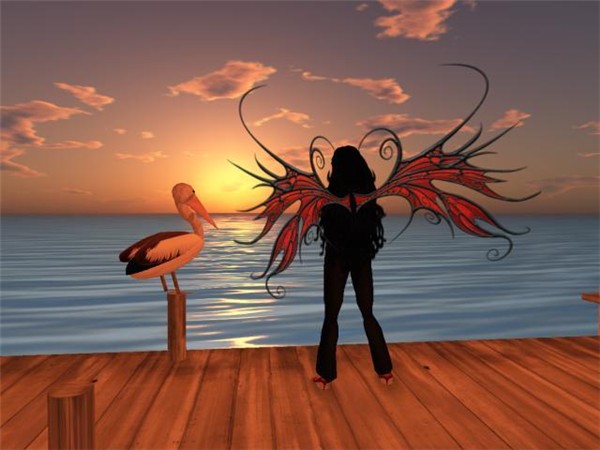 Beautiful Icarus Sunset
