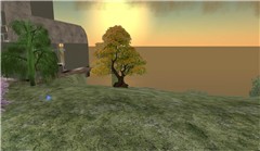 Deltote, a sweetie place in SL