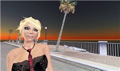 From The Beach