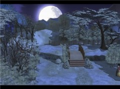 moonlight
