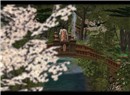 maple