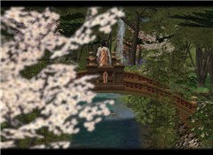 maple