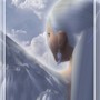 TCG - The Healer