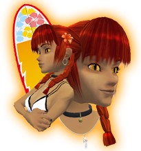 Orange Theme - Surfer Neko!