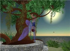 Dawn in a Tree