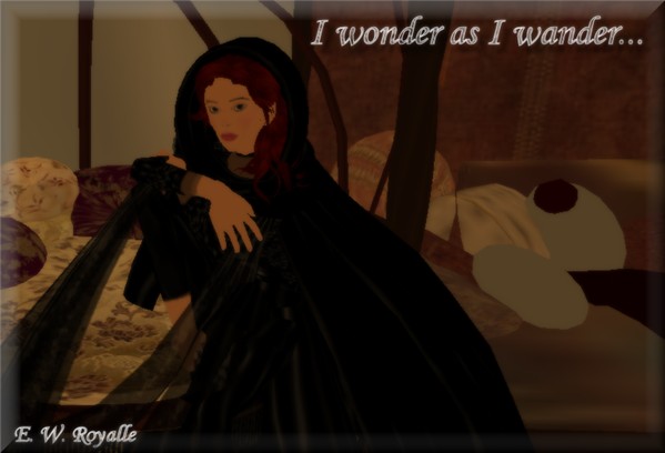 Wondering Wanderer