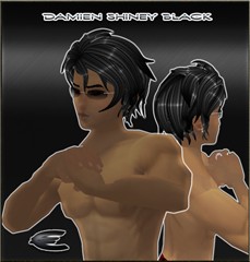 damiencatalog