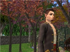 The Elf King - Rafrae Elysian About His Garden