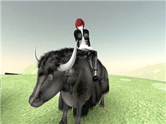 Where the Buffalo Roam