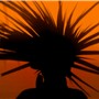 VieetoVoom_Back (2)