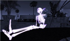 Essential avatar