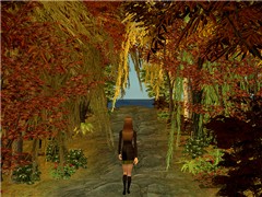 Autumn