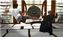 Kung-Fu Fighting