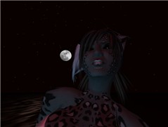 Howling to the moon