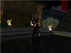 What you see before I kill you :P