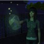 Fire flies.