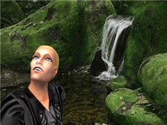 beautyinthebreak
