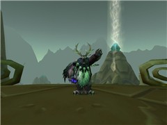 Moooo !!!!