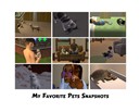 Pets snapshots