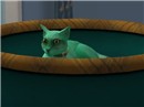 Spade in Bed