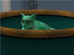 Spade in Bed