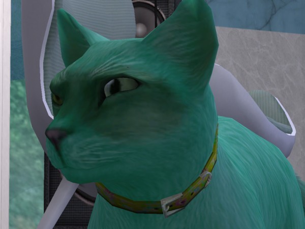 Spade Makes a Weird Face