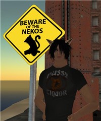 Beware of Nekos