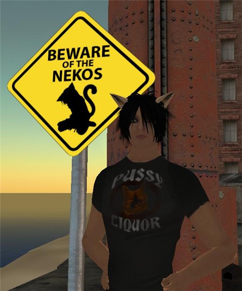 Beware of Nekos