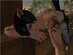 Daydreaming