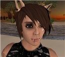 I got into a cat fight