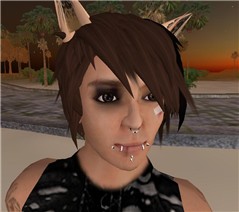 I got into a cat fight