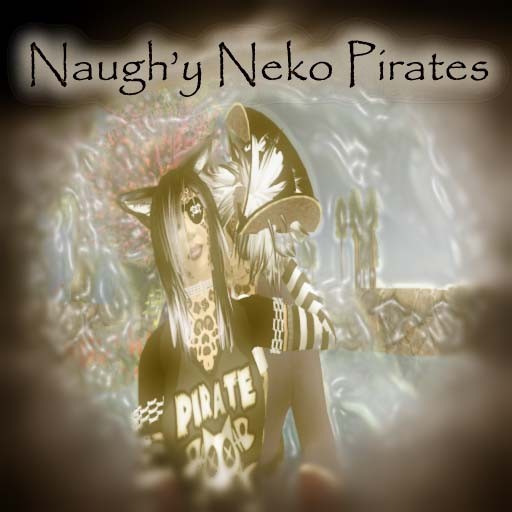 piratekitty