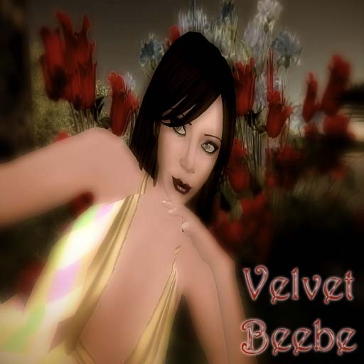 velvel1
