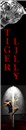 Vertical Ad