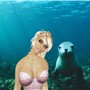 Seal