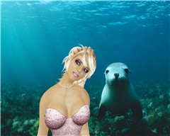 Seal