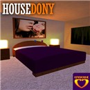 dony_pic_2