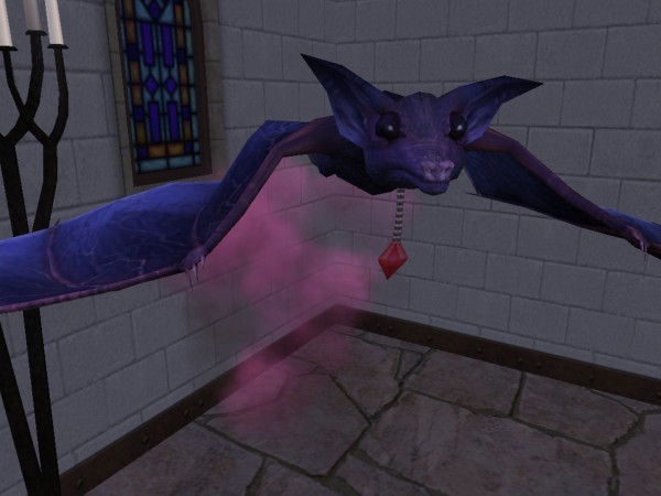 My pet