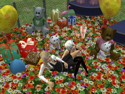 Sora &amp; Winter