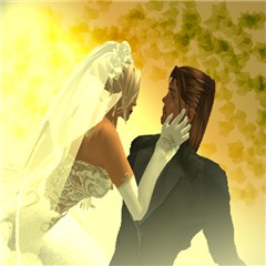 Wedding Book