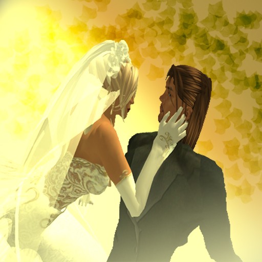 Wedding Book