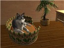 Just Relaxing