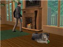 Stoking The Fire 2