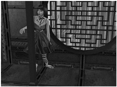 [ chiaroscuro ]