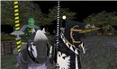 Avilion Isle, Jousting