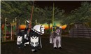 Avilion Isle, Jousting